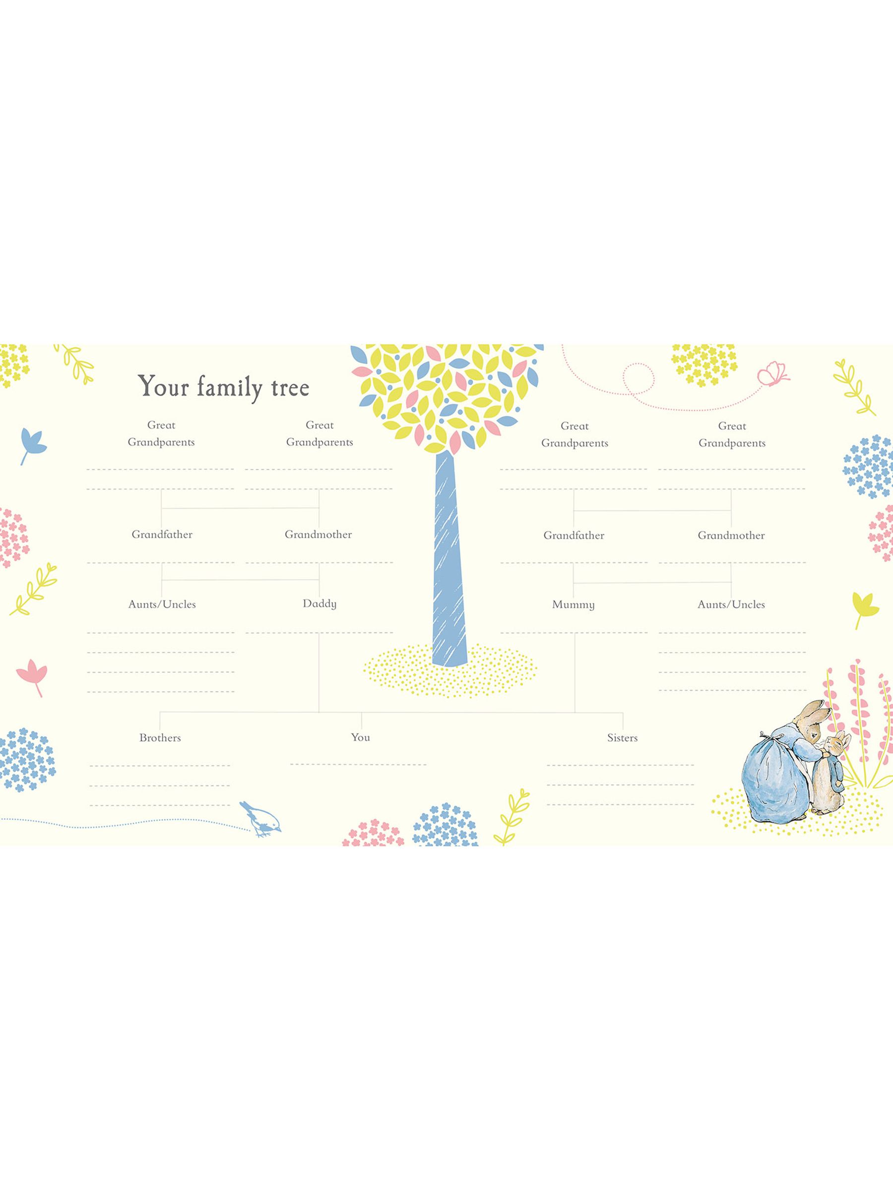 Peter Rabbit Baby Record Book