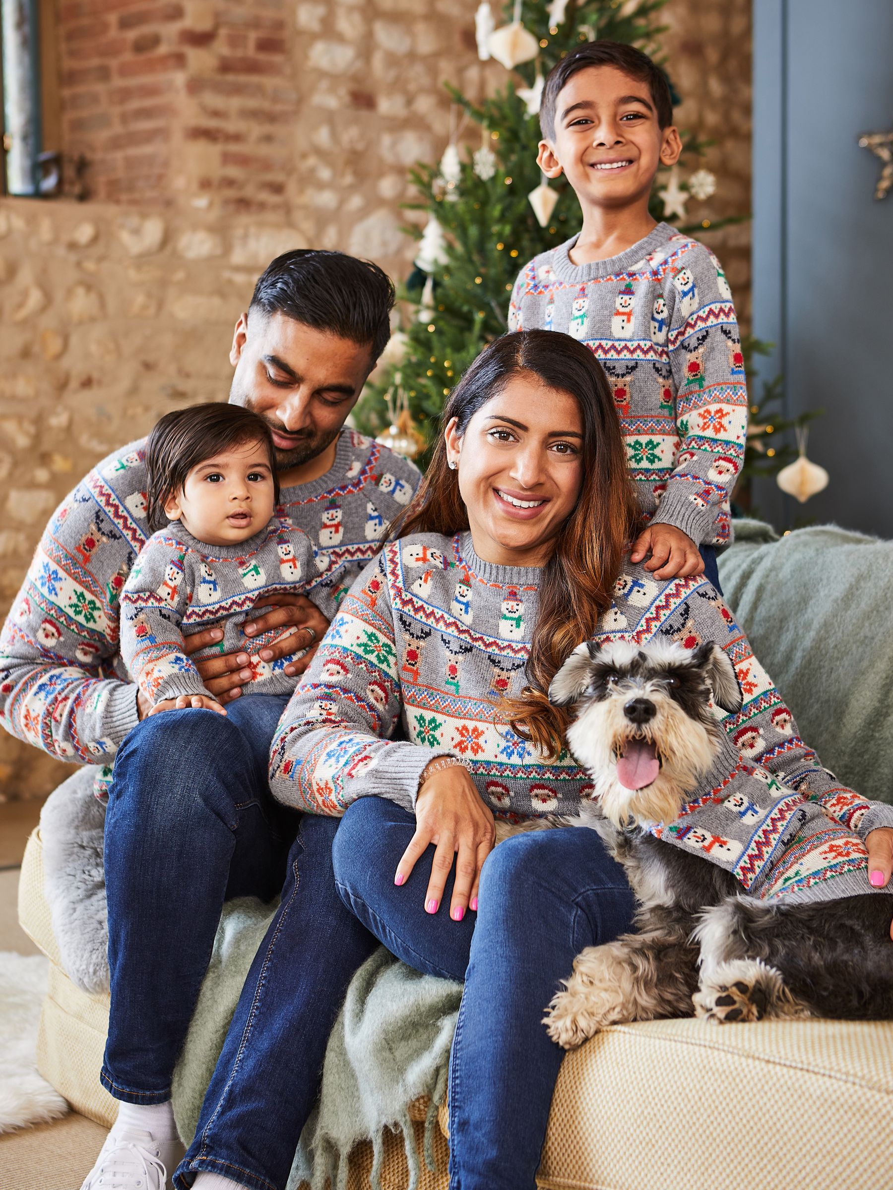 Grey Christmas Fair Isle Pets Jumper