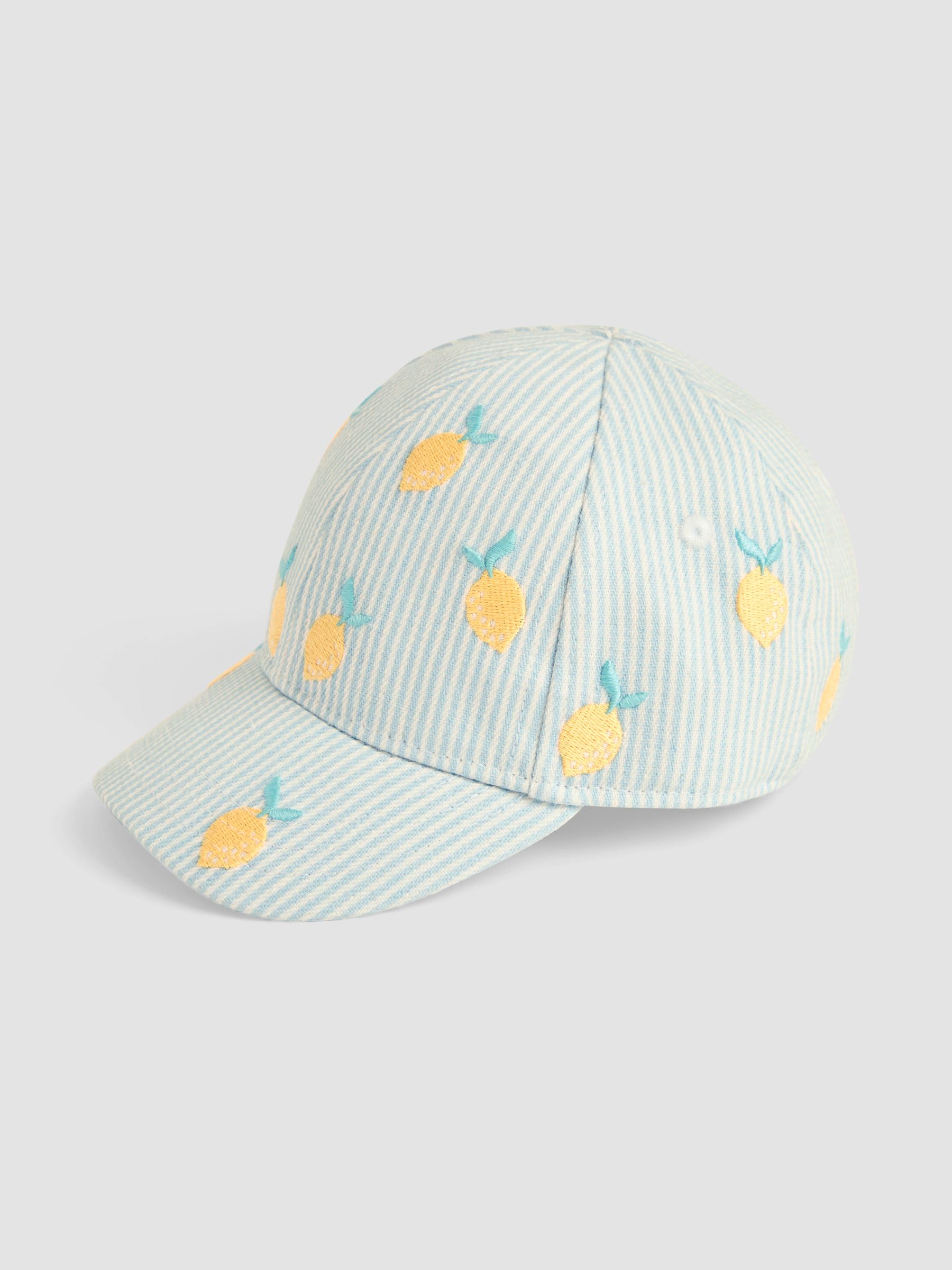 Blue Embroidered Cap