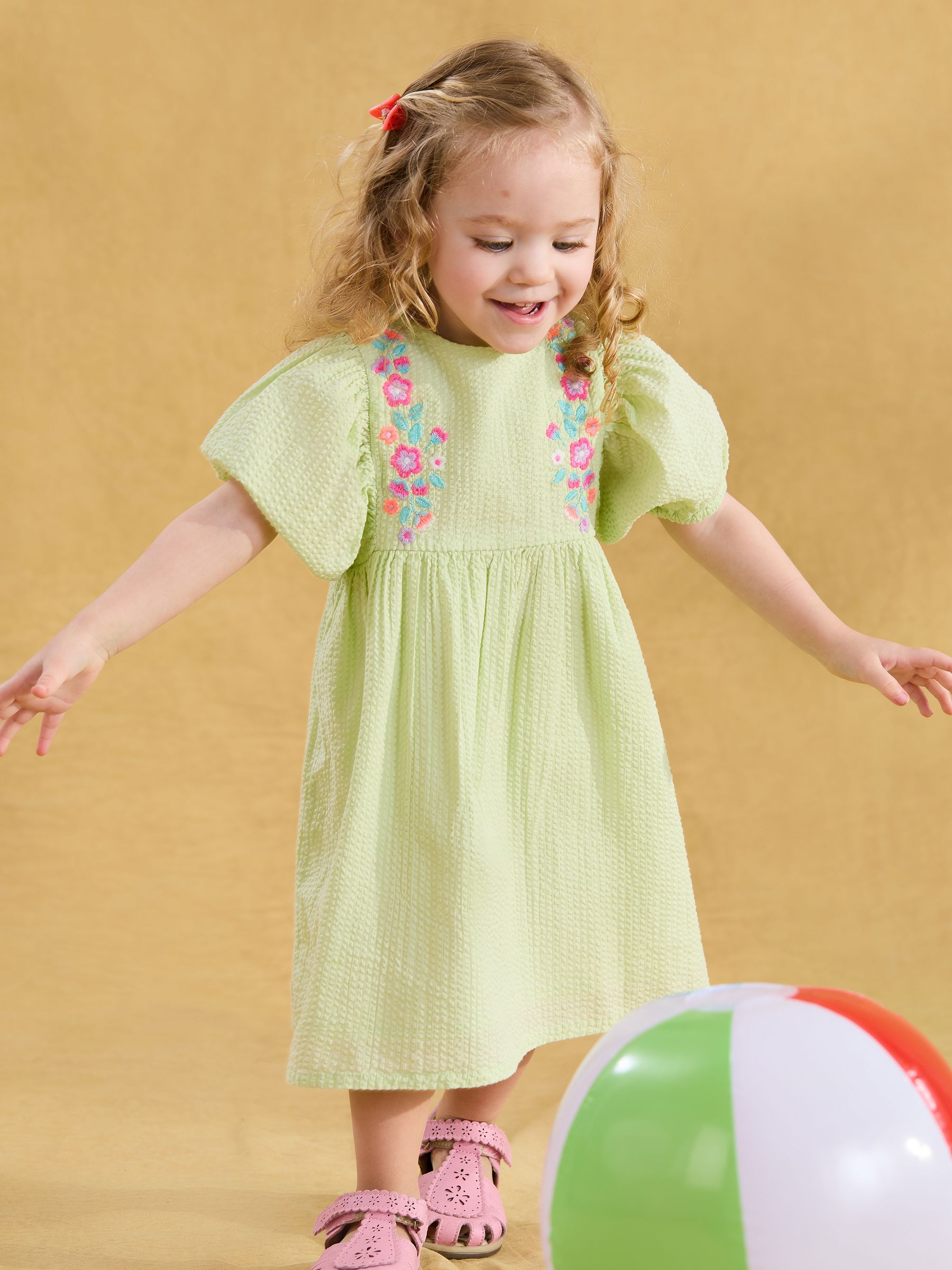 Pink Floral Embroidered Balloon Sleeve Dress
