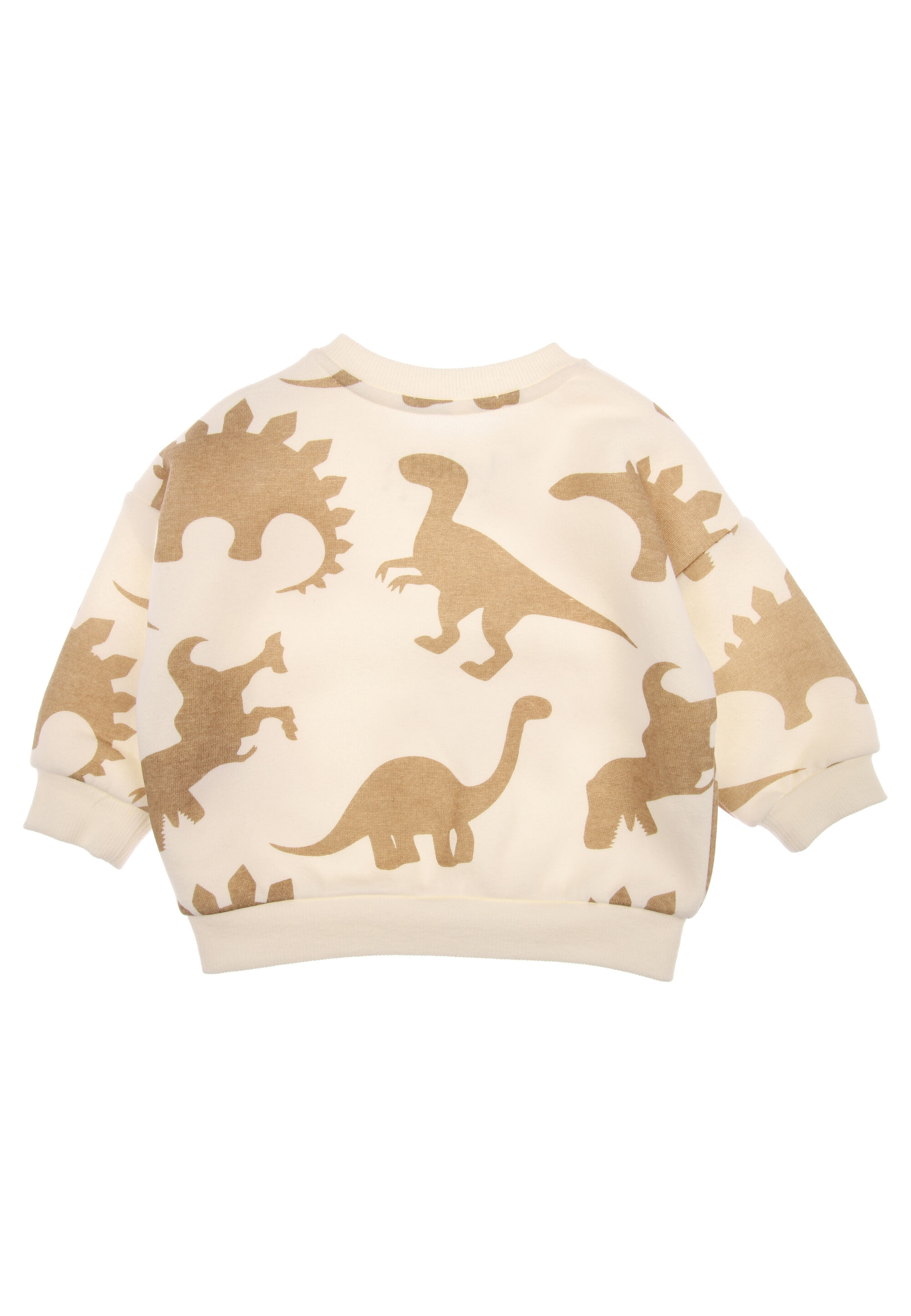 Baby Boy Stone Dinosaur Print Sweatshirt & Joggers Set
