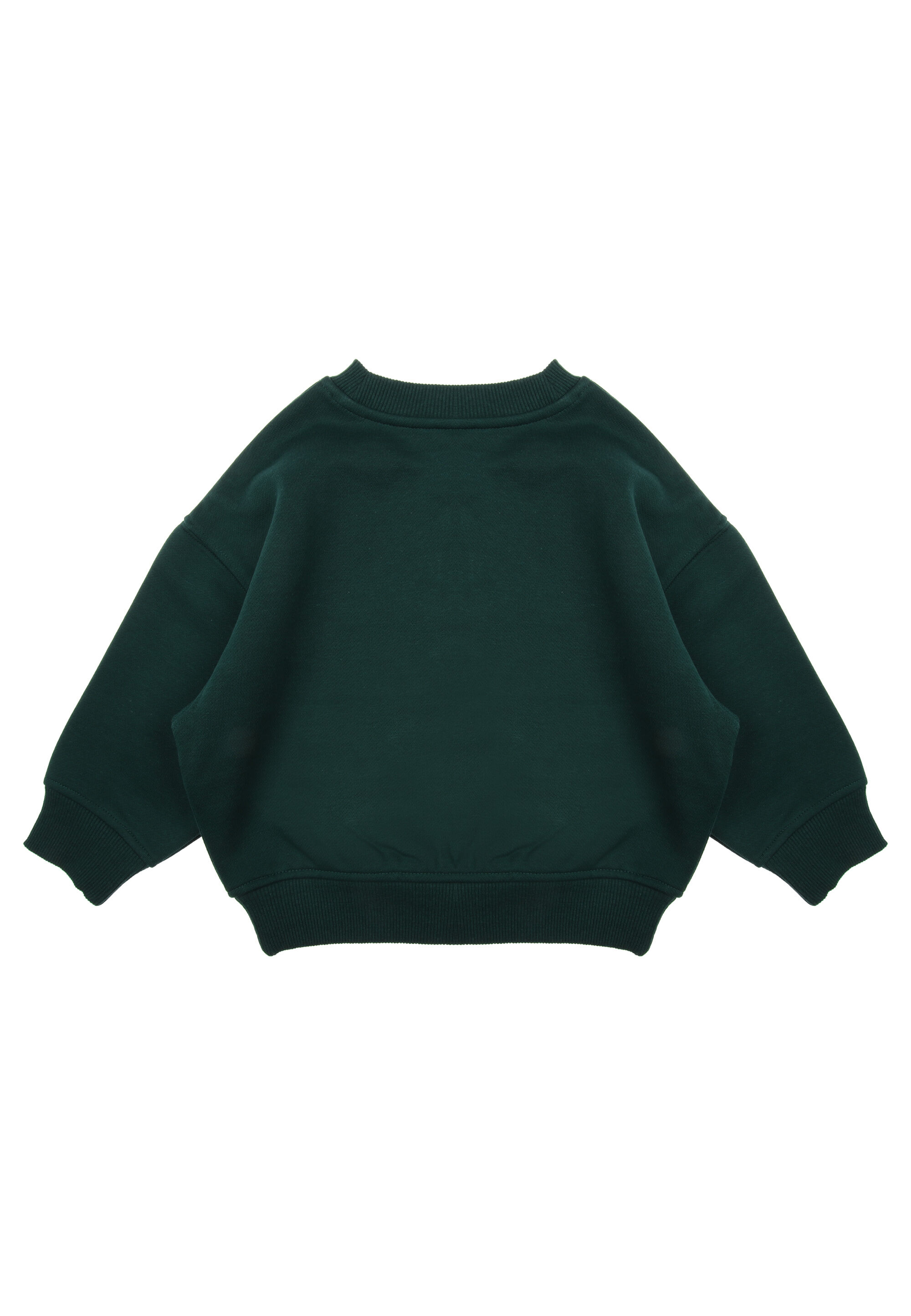 Younger Boys Green Christmas Dino Sweatshirt