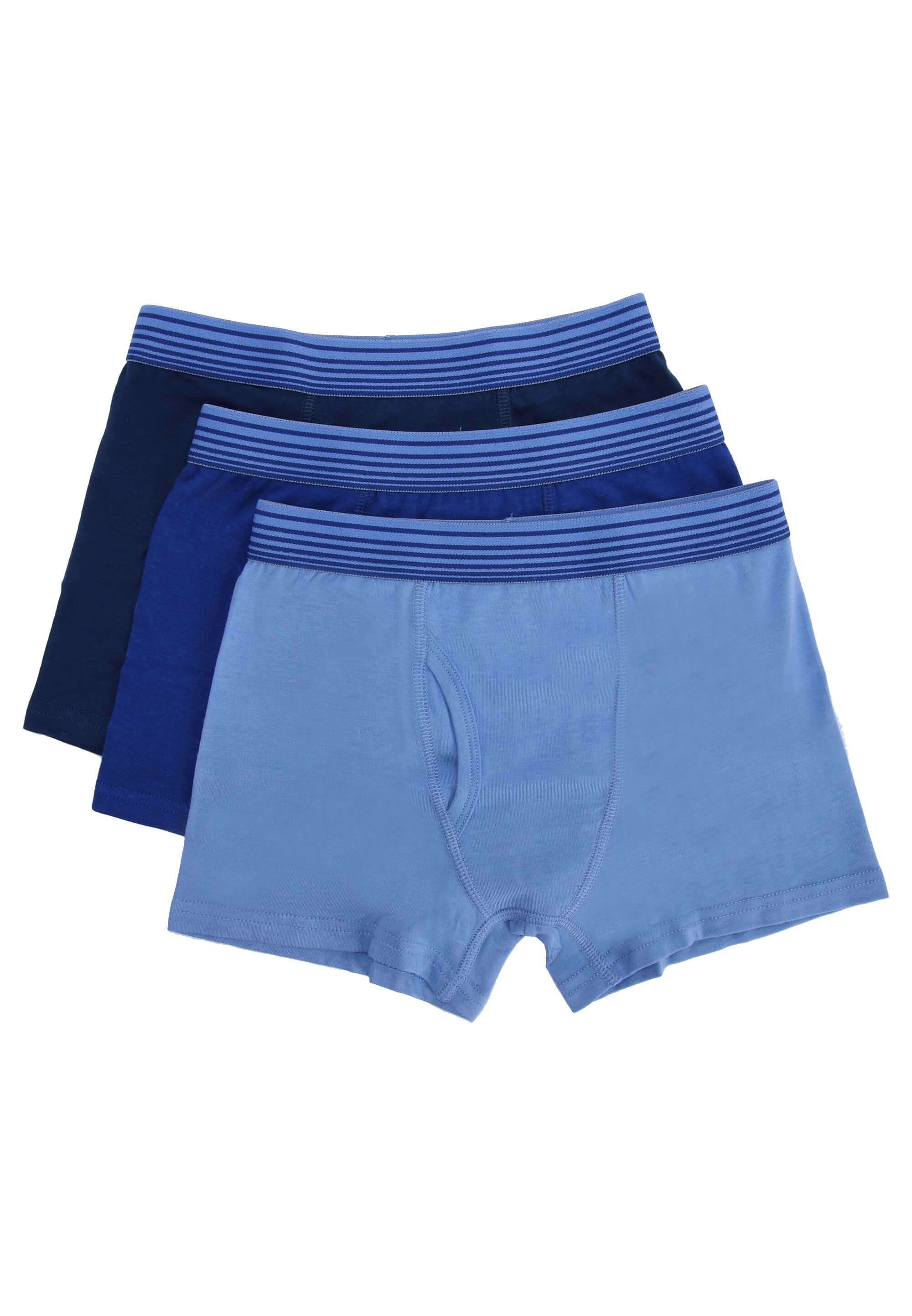 Older Boys 3pk Plain Blue & Navy Trunks