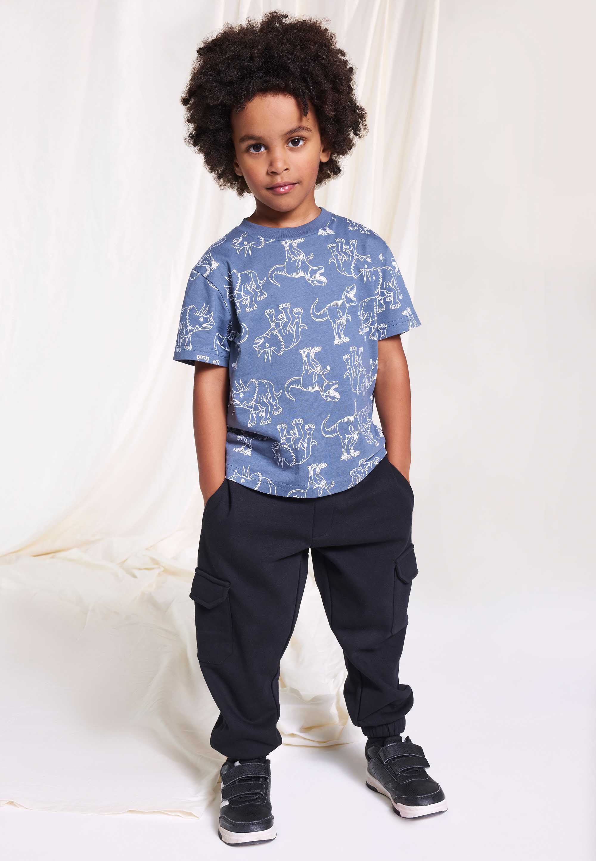 Younger Boys Grey Dinosaur Printed T-Shirt