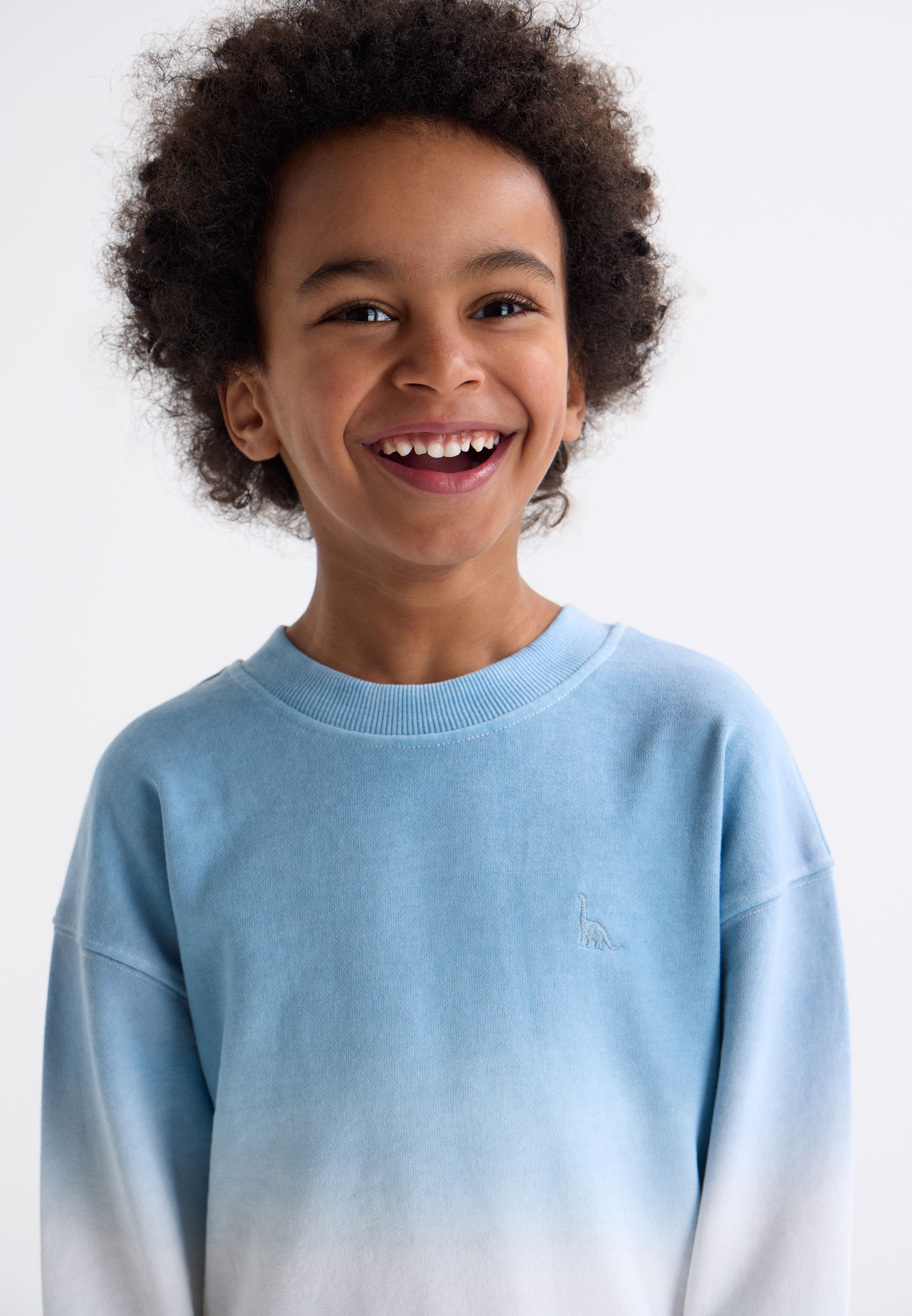 Younger Boys Blue Ombre Sweatshirt