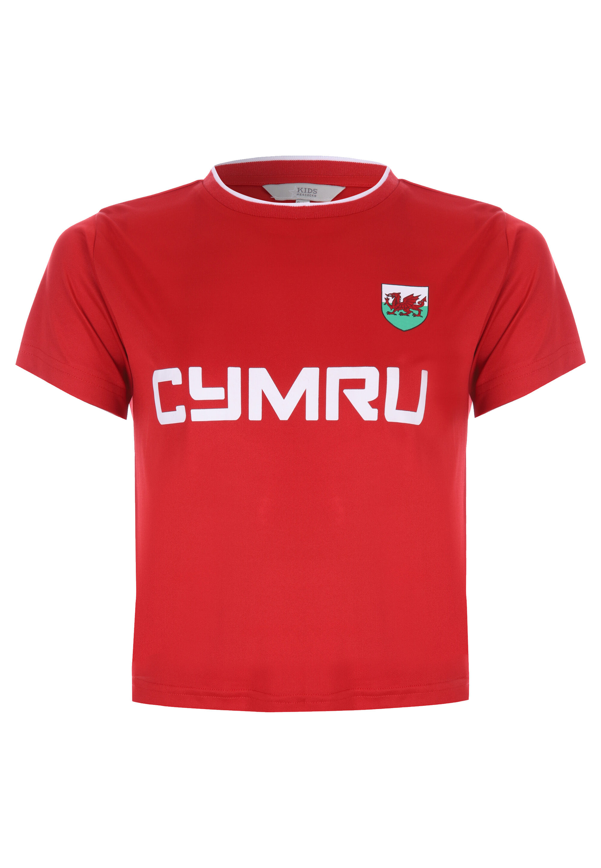 Younger Kids Red Cymru Wales T-shirt