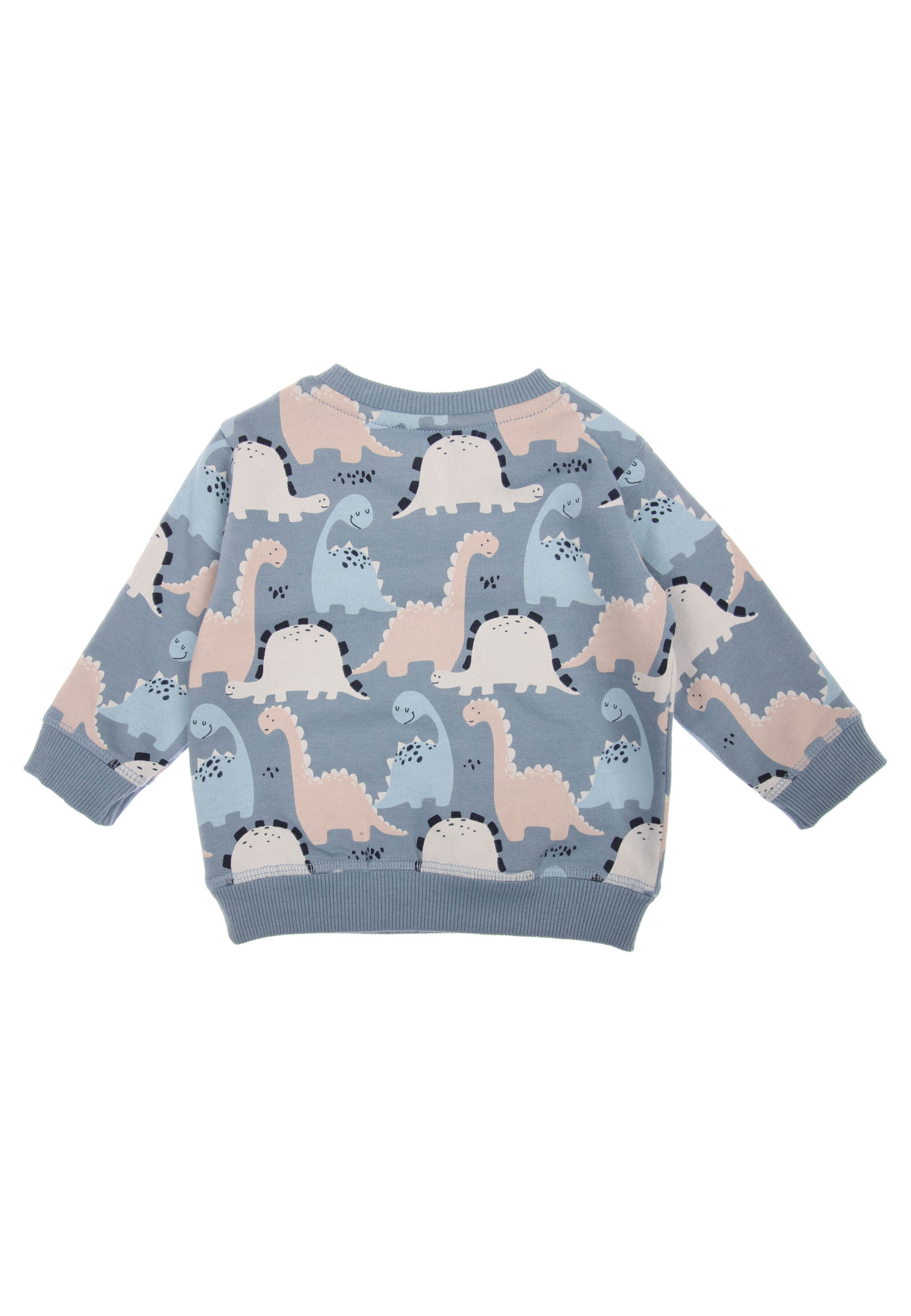 Baby Boy Blue Dinosaur Sweatshirt & Joggers Set