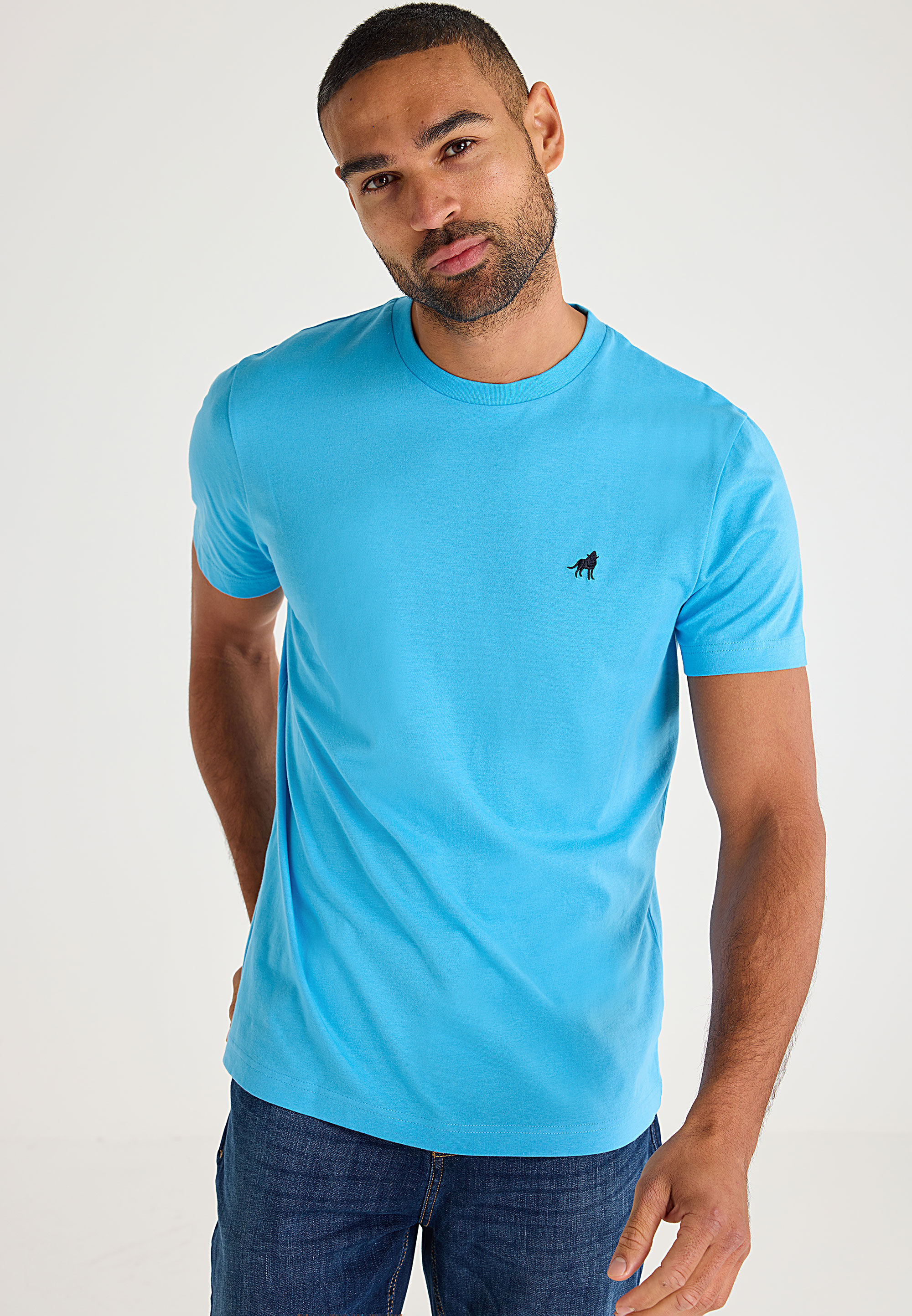 Mens Blue Crew Neck Basic T-Shirt