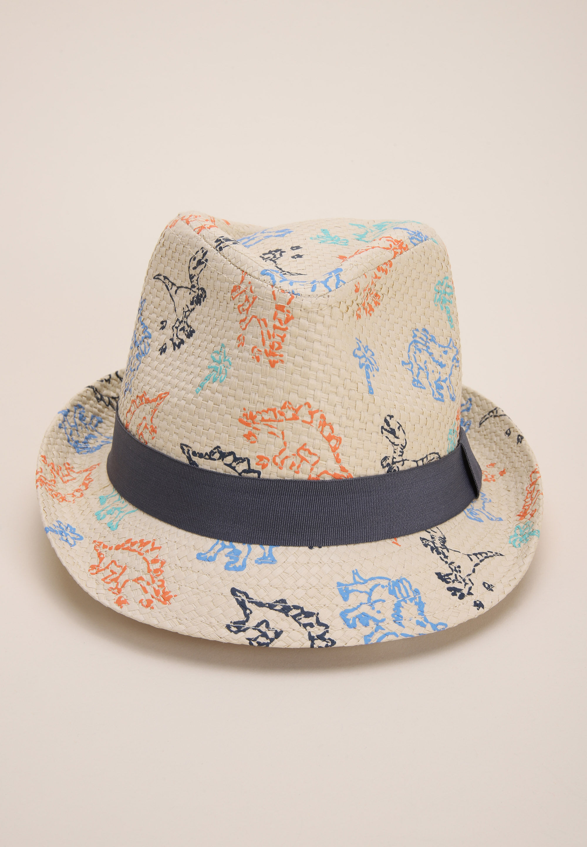 Younger Boys Natural Dinosaur Print Fedora Hat