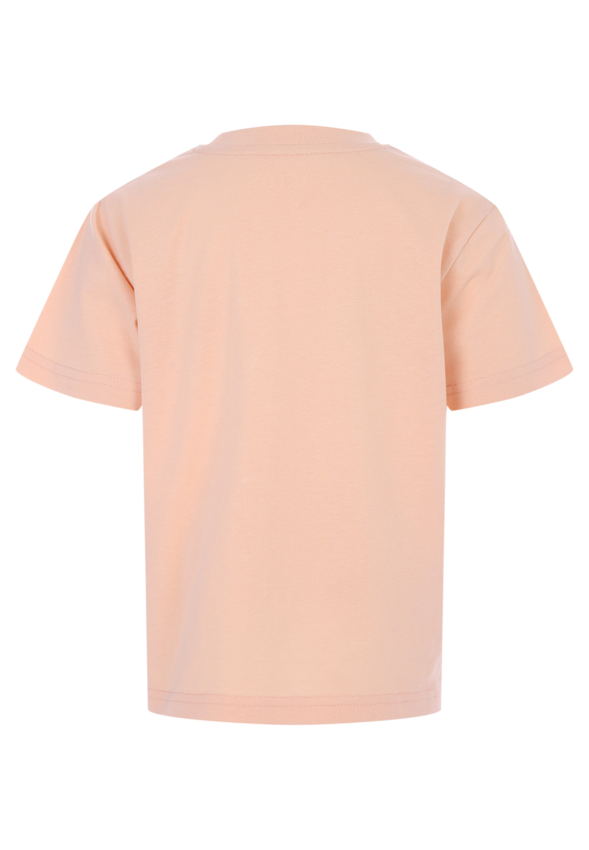 Younger Boys Orange Dinosaur Factfile Print T-shirt