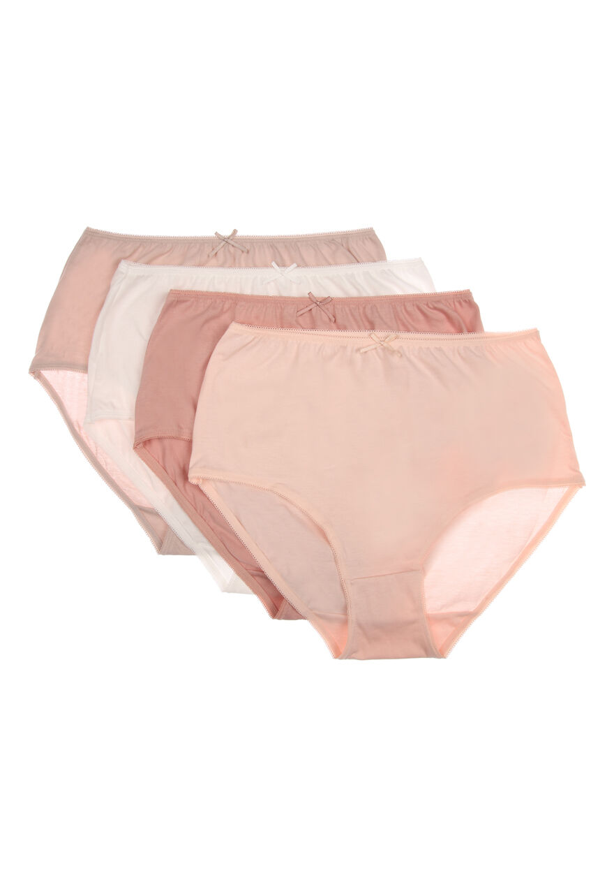 Womens 4pk Nude Full Briefs
