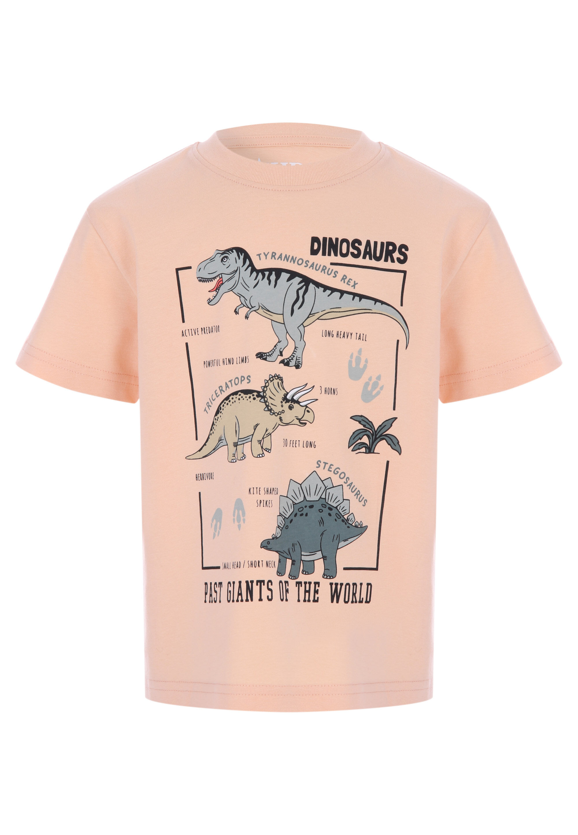Younger Boys Orange Dinosaur Factfile Print T-shirt