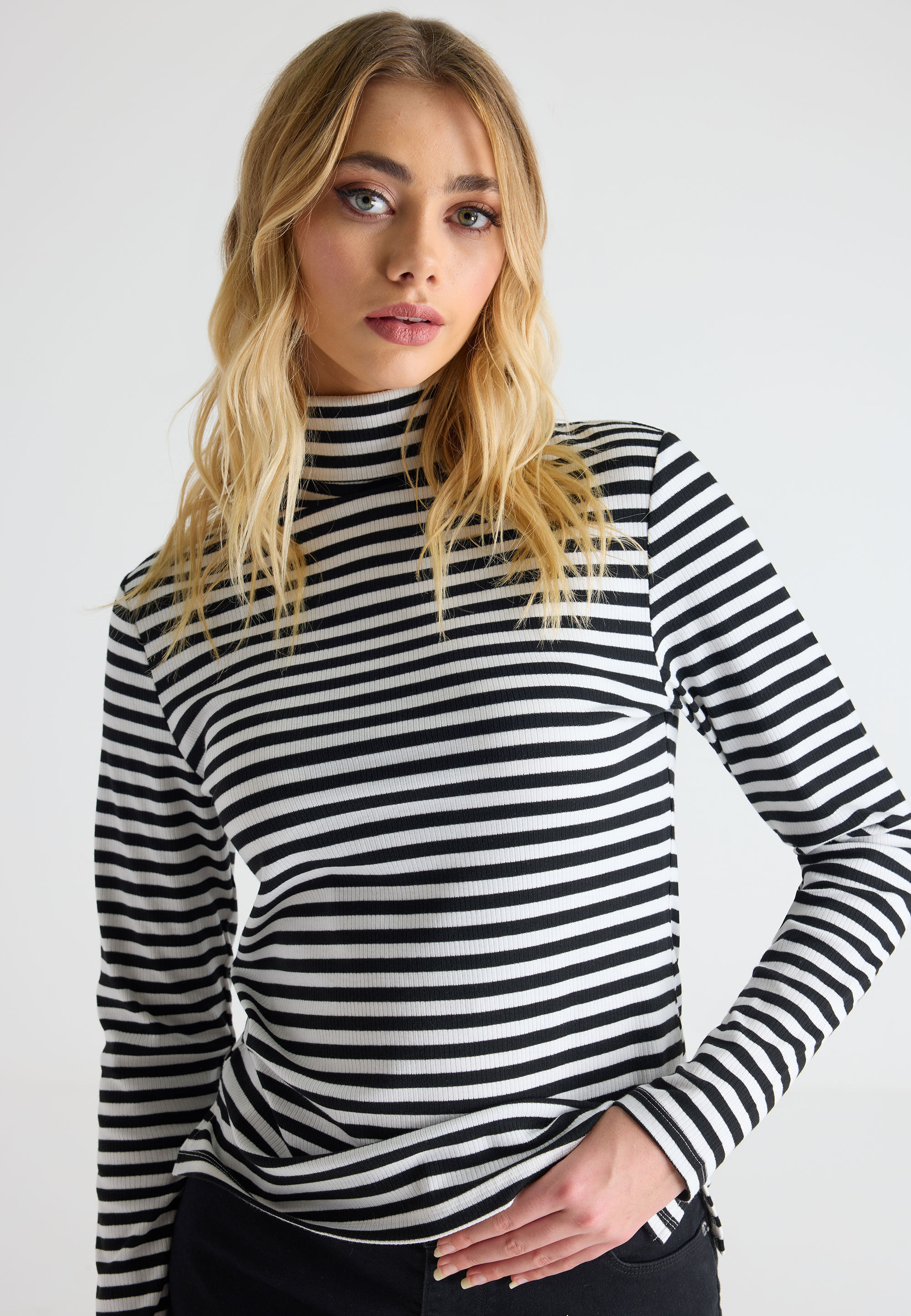 Womens Monochrome Narrow Stripe Roll Neck Top