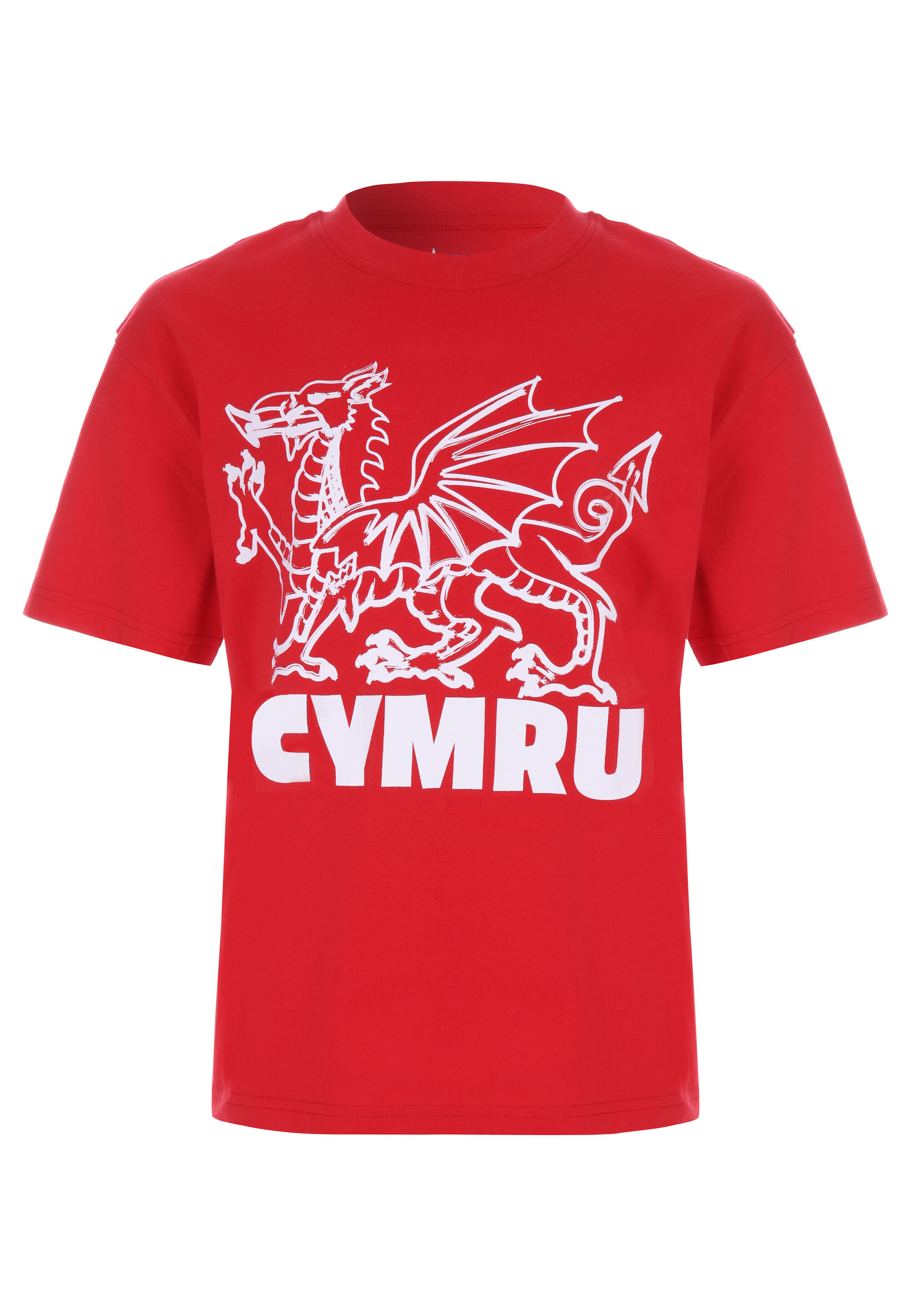 Older Kids Red Wales Dragon T-Shirt