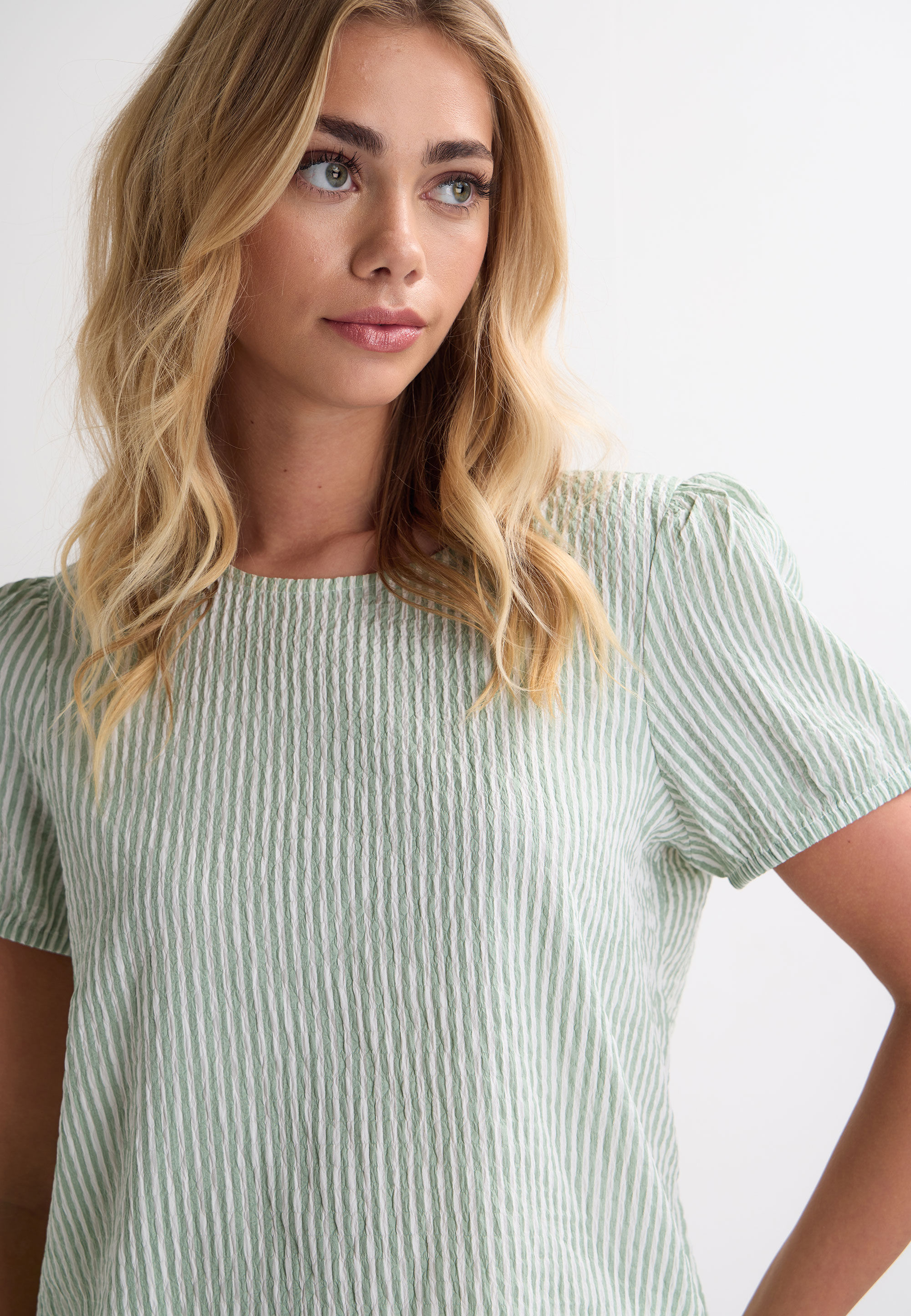 Womens Sage Stripe Print Textured Top