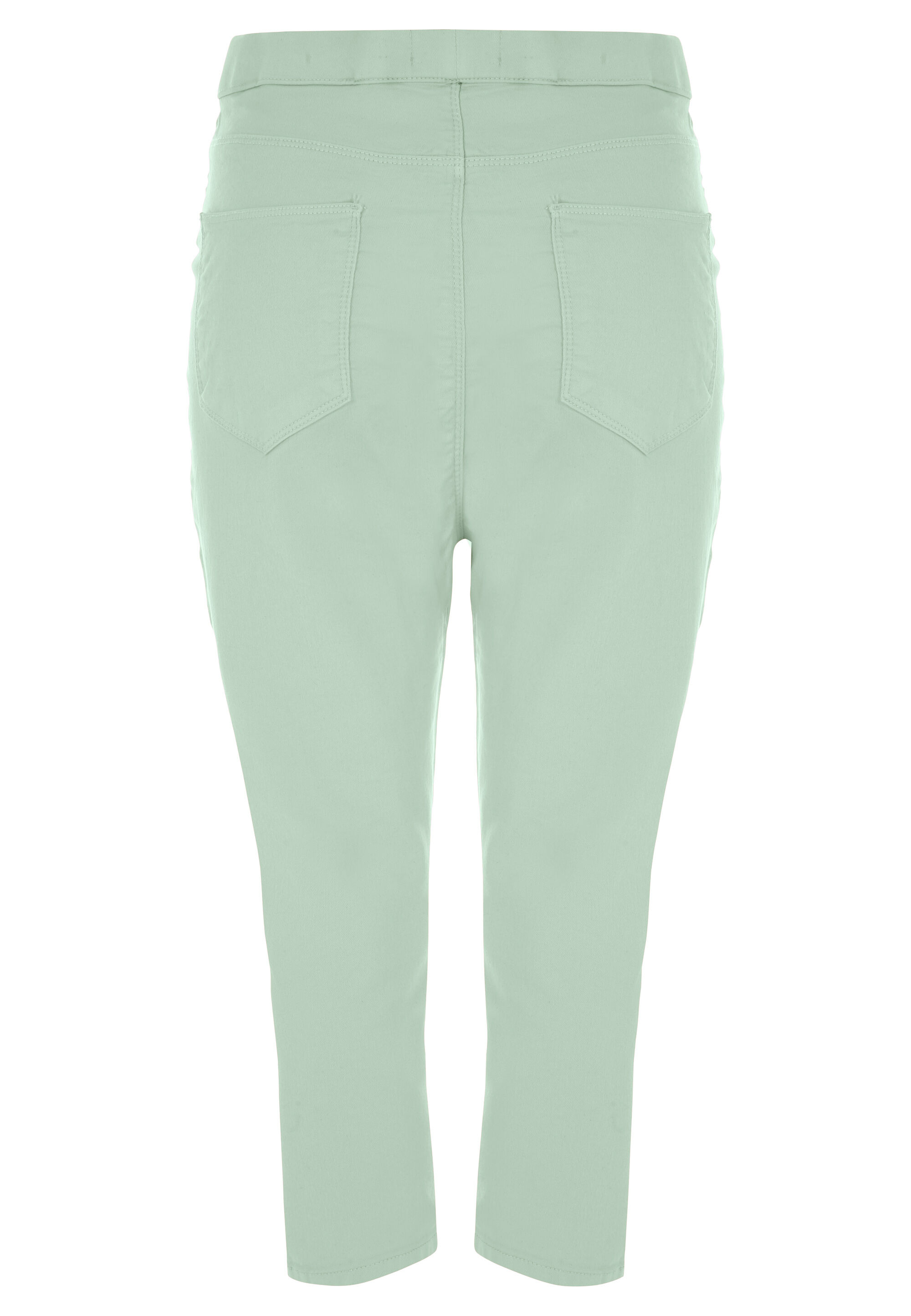 Womens Mint Plain Kate Cropped Jeggings