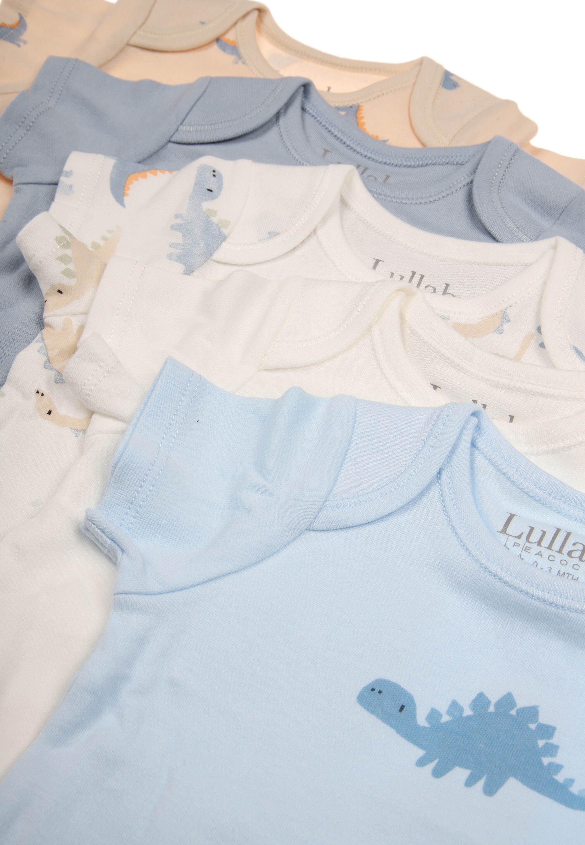 Baby Boys 5pk Blue Dinosaur Bodysuits