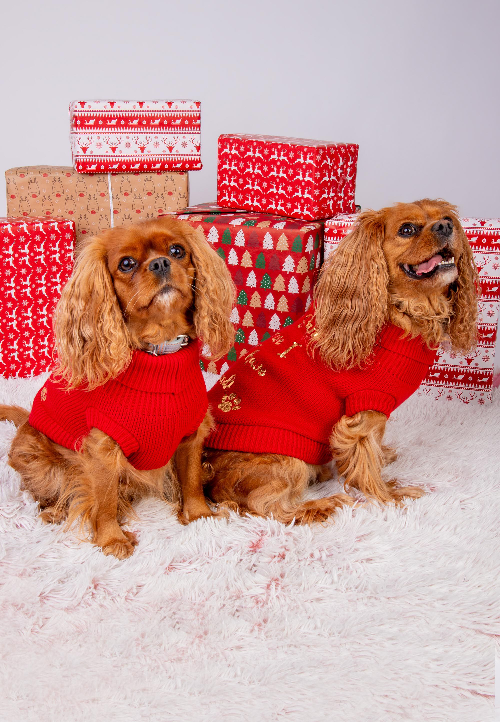 Dogs Red & Gold Sequin Christmas Slogan Jumper