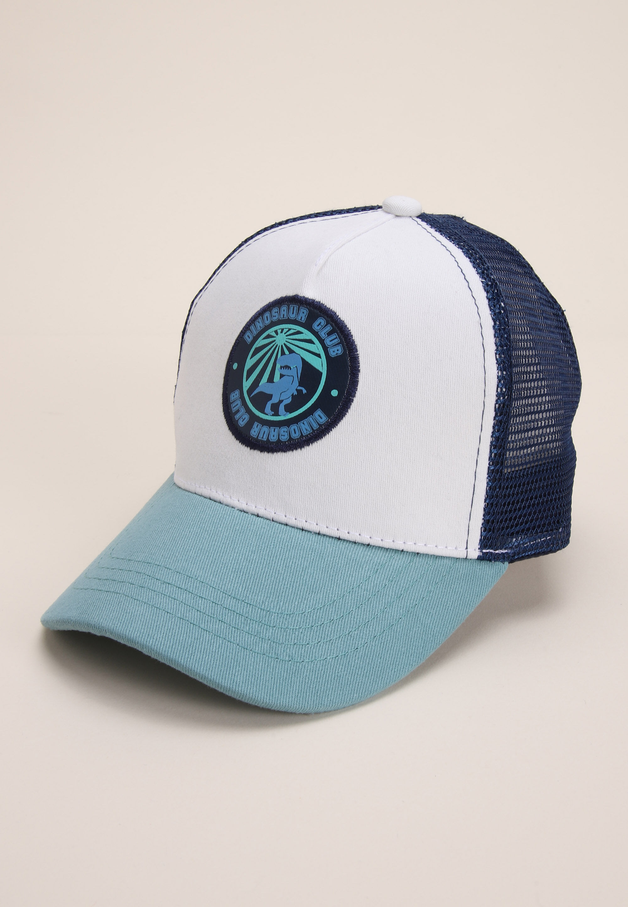 Younger Boys Blue Dinosaur Trucker Hat