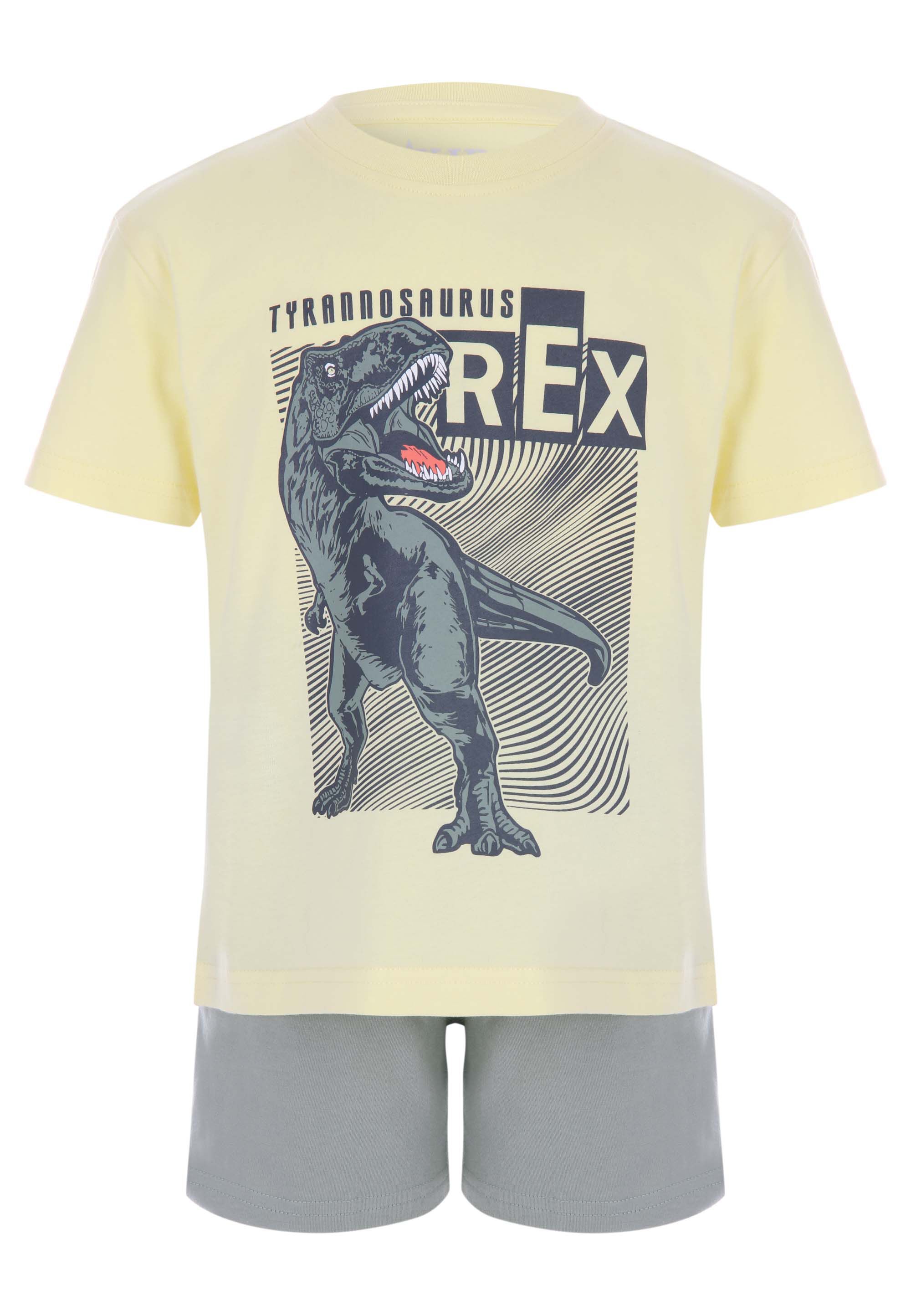 Younger Boys Yellow Dinosaur T-Shirt and Shorts Set