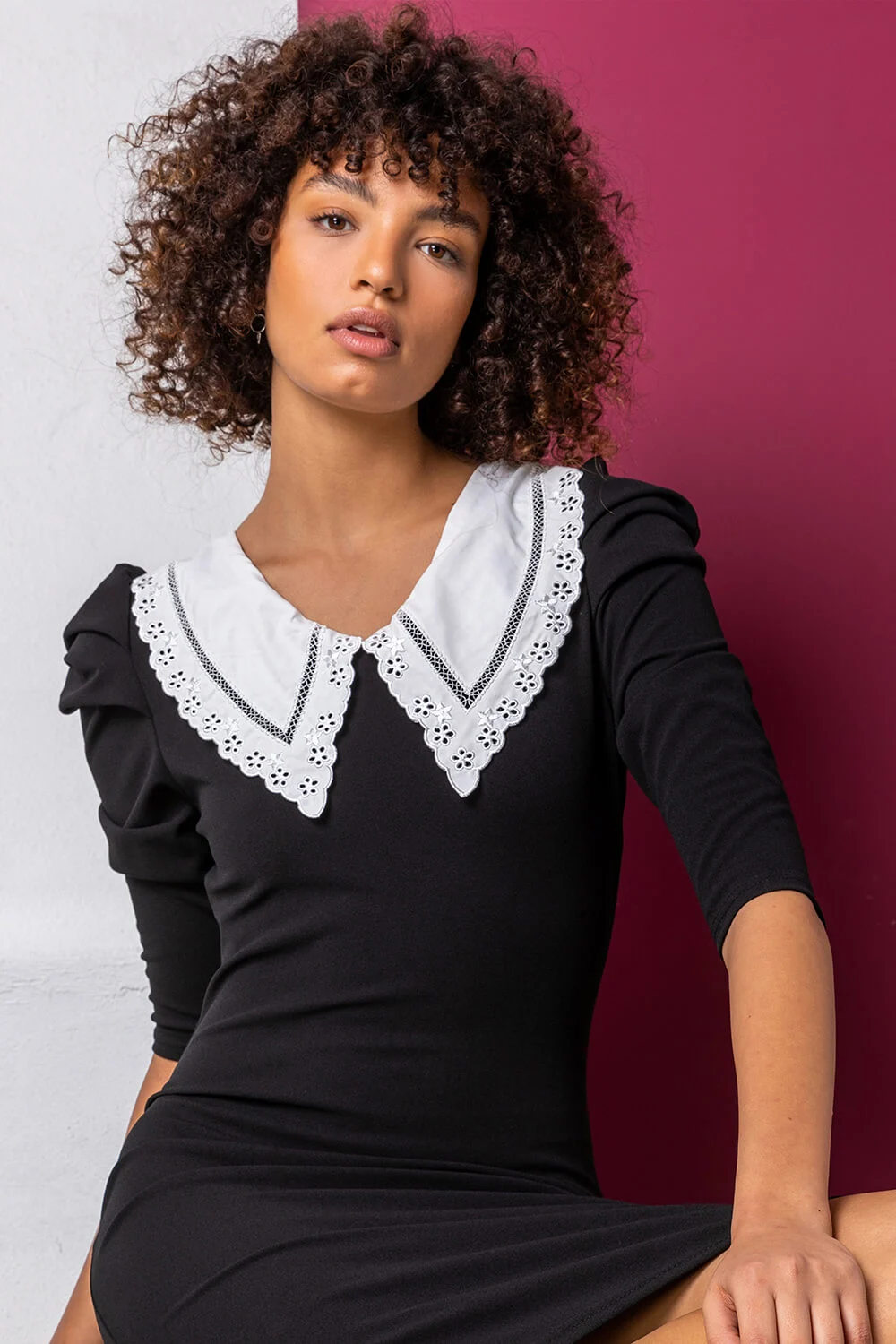 Black Lace Collar Detail Fitted Dress