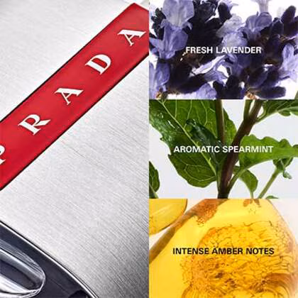 Prada Luna Rossa