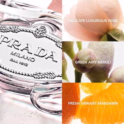 Prada Les Infusion Rose