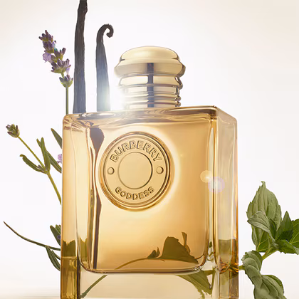 Burberry Burberry Goddess Intense