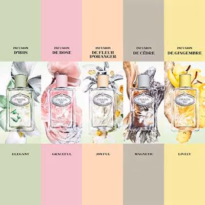 Prada Infusion de Gingembre