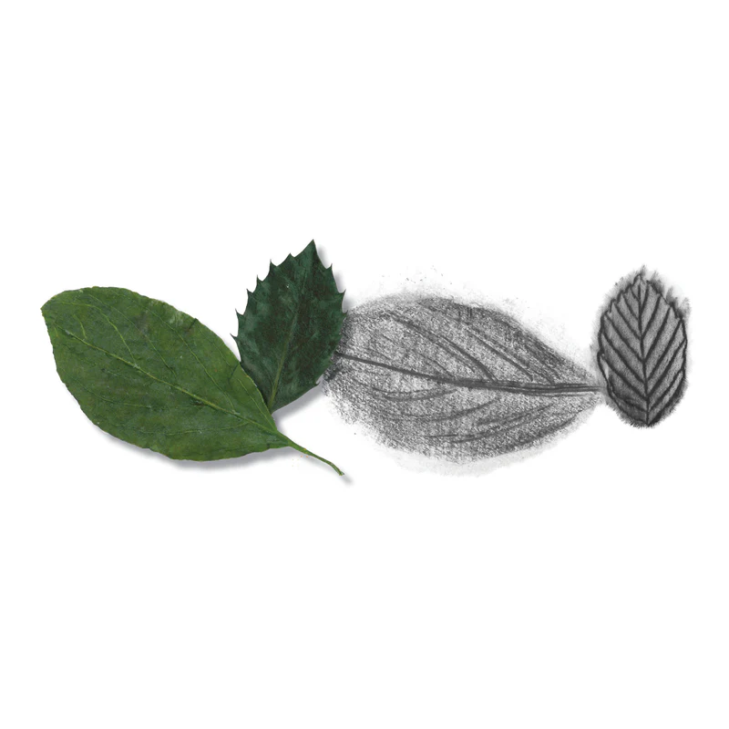 Do Art Drawing & Sketching - #14558