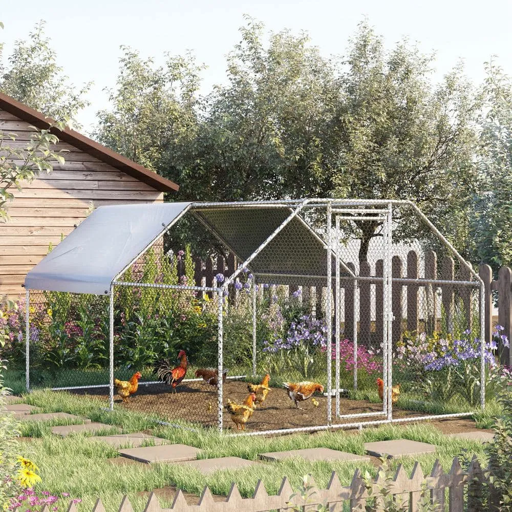 Silver Galvanized Metal 0.002-Acre In-Ground Walk-in Chicken Coop Cage with Cover D51-116