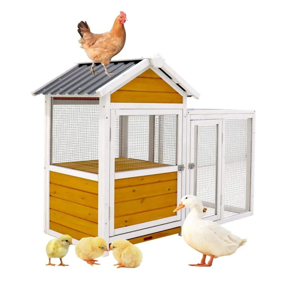 Mis cool Any 48.1 in. W Large Outdoor Chicken Coop with Nest Box Waterproof PVC Board CCHD1011746
