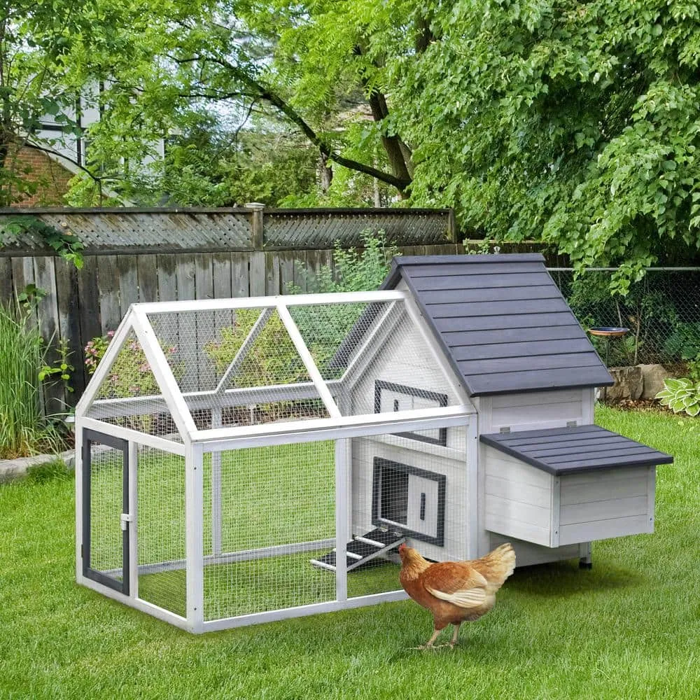 Grey and White Wooden 0.07-Acre In-Ground Poultry Cage with Nesting Box Ramp Run D51-102