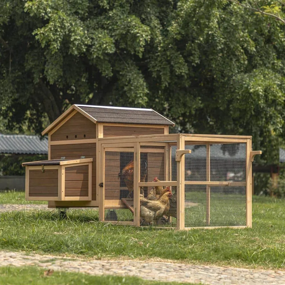 Mis cool Any 81 in. W x 48 in. D x 45 in. H Mesh Poultry Fencing Large Wood Chicken Coop Backyard with Nesting Box in Brown CCHD1082621