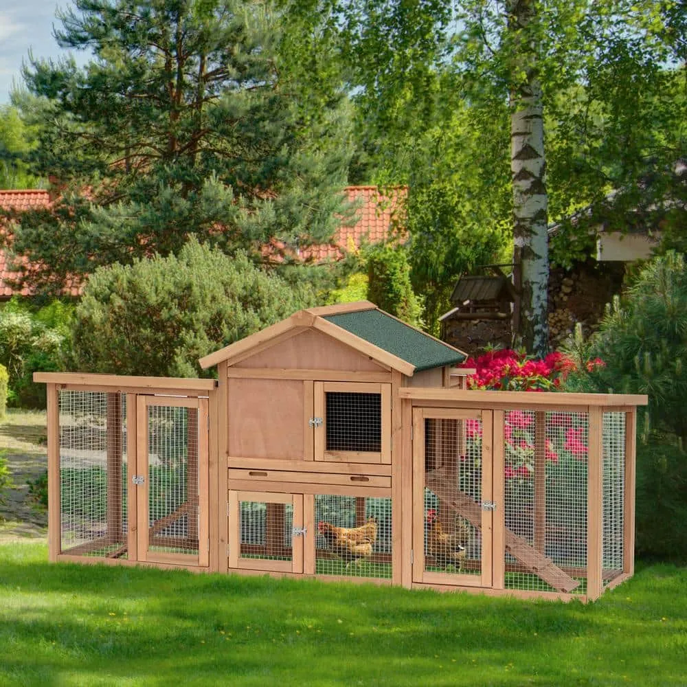 80 in. Wooden 0.0043-Acre In-Ground Chicken Coop House with Nesting Box Double Run Removable Tray and Asphalt Roof