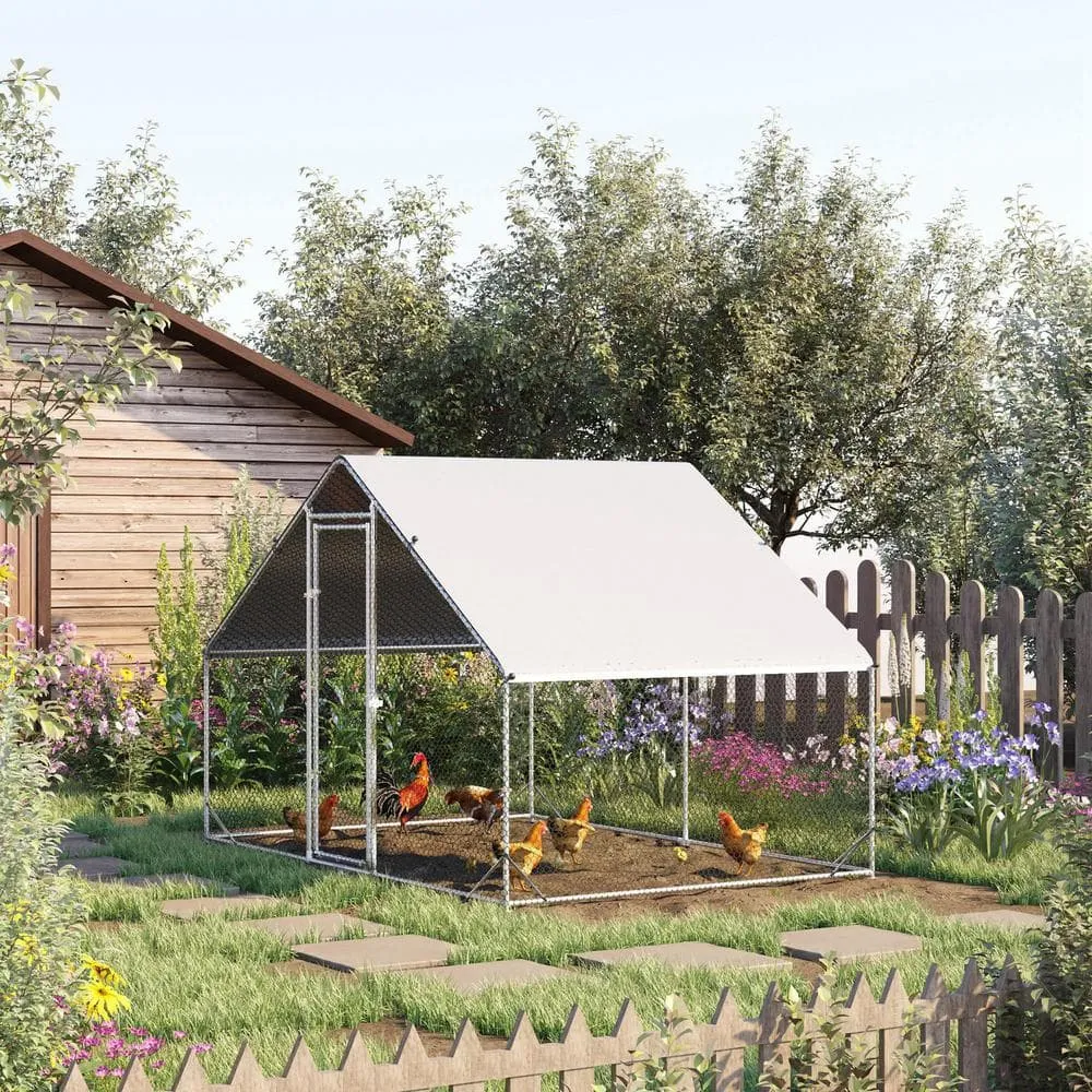 10 ft. x 6.5 ft. x 6.5 ft. Large Outdoor Silver Metal 0.0014-Acre In-Ground Chicken Coop with Cover and Lockable Door
