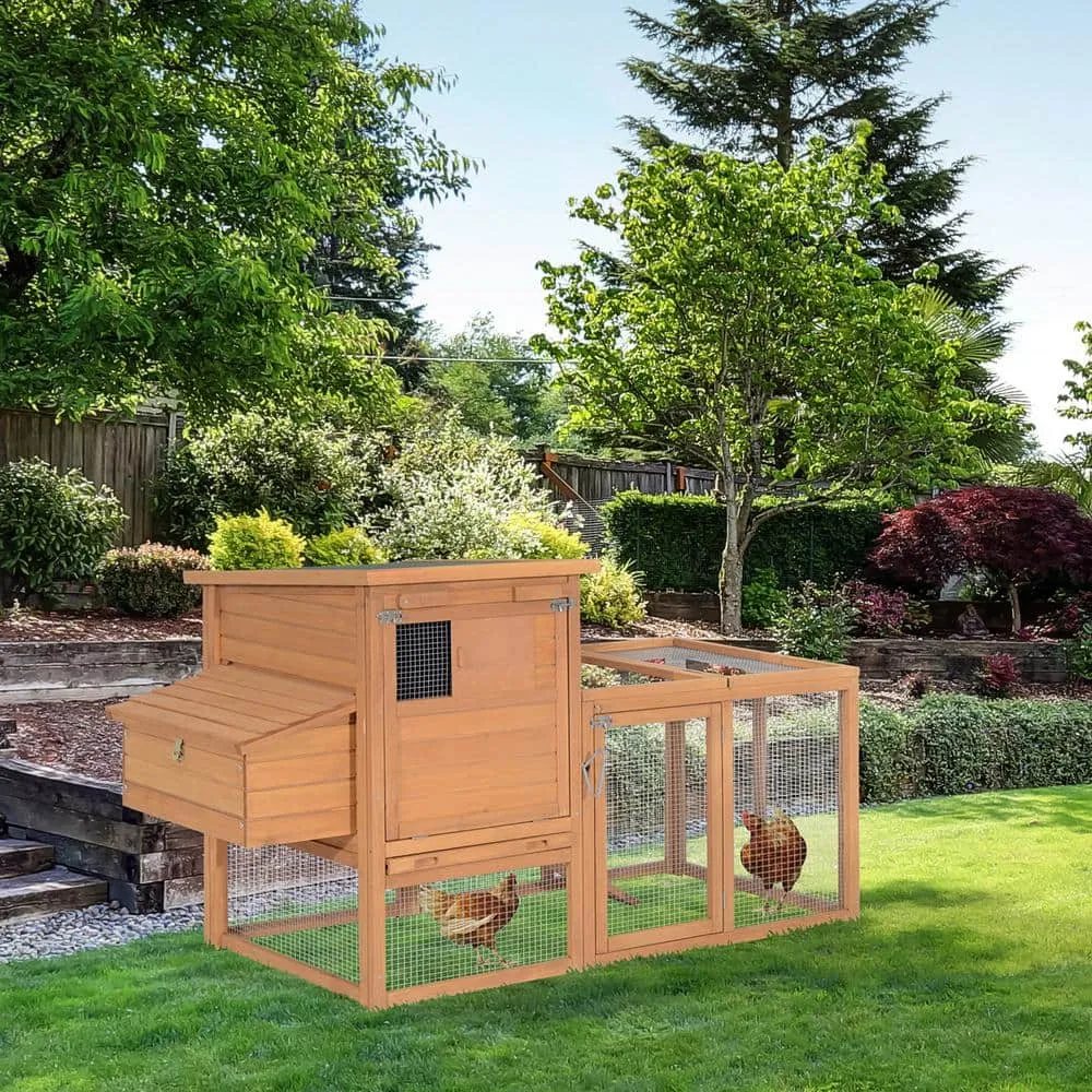 75 in. Wooden 0.0004-Acre In-Ground Chicken Coop Poultry Fencing with Outdoor Run Removable Tray and Nesting Box