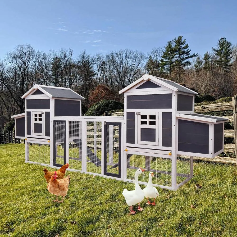 Mis cool Any 124 in. W Large Wooden Outdoor Chicken Coop with Ventilation Door Removable Ramp Nesting Box in Gray CCHD1000005C