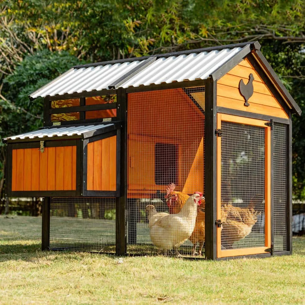 48.6 in. H Chicken Coop with Waterproof PVC Roof Removable Bottom for Easy Cleaning Suitable for 6-8 Chickens in Orange 30P-3