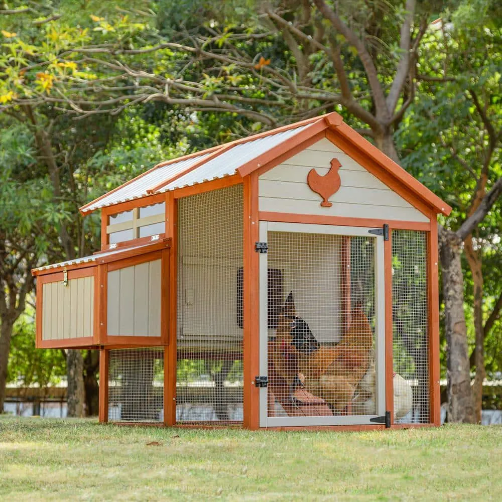 48.6 in. H Chicken Coop with Waterproof PVC Roof Removable Bottom for Easy Cleaning Suitable for 6-8 Chickens in Beige 20P-2