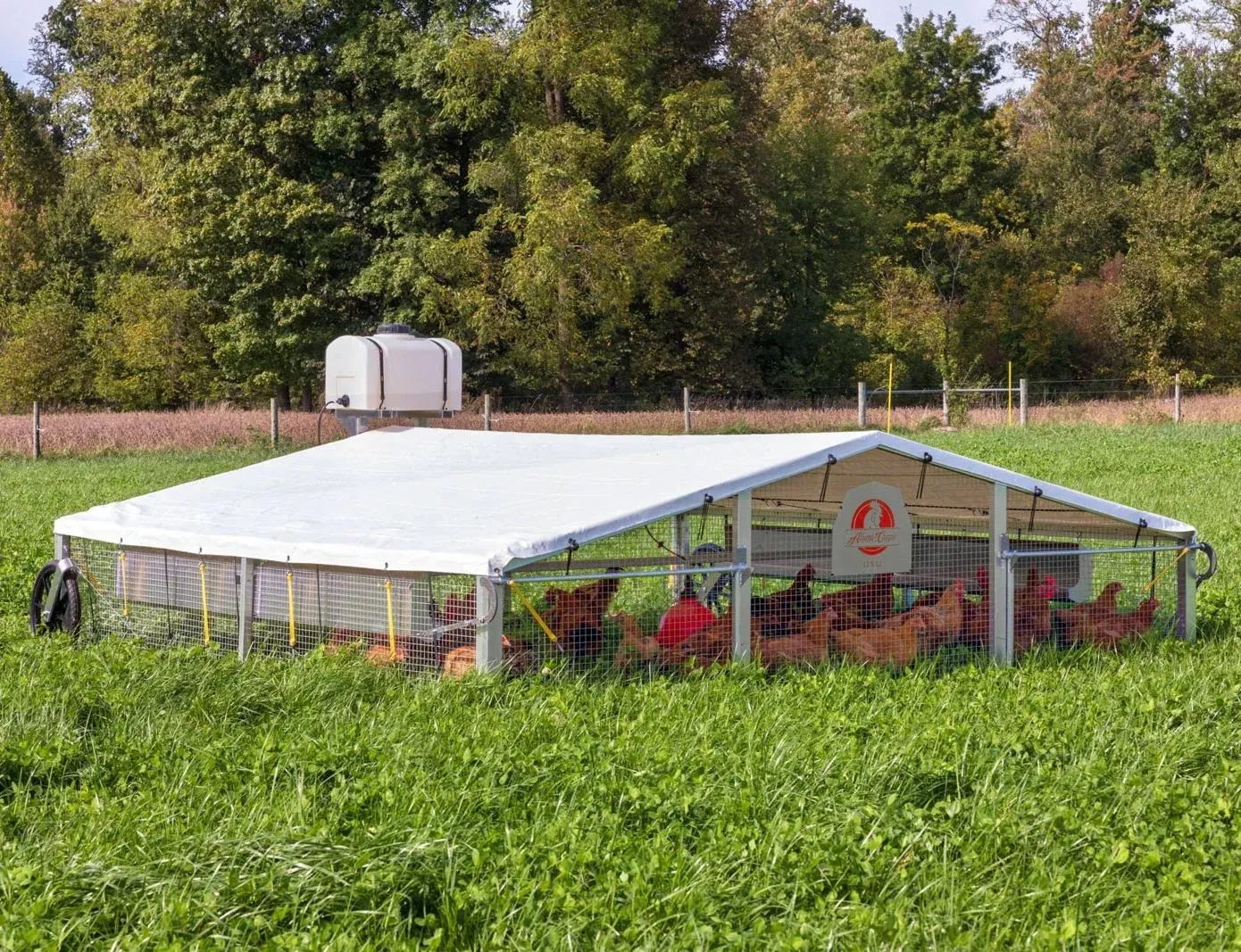 🔥Large Chicken Coop with Tarpaulin (For 20~100 Chickens)🐔