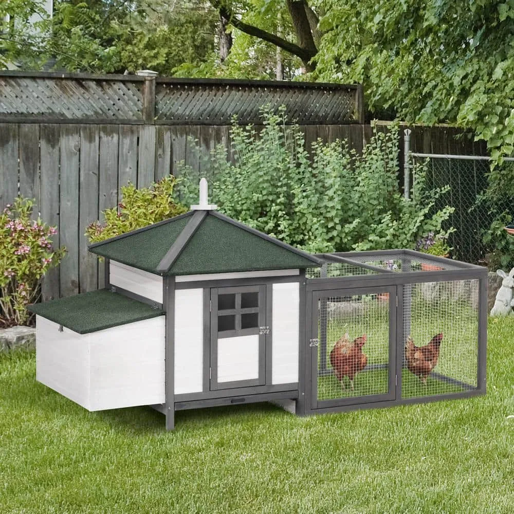 77 in. Grey Wooden Chicken Coop 0.00037-Acre In-Ground wWeatherproof Roof Poultry Fencing and Removable Tray D51-092GY
