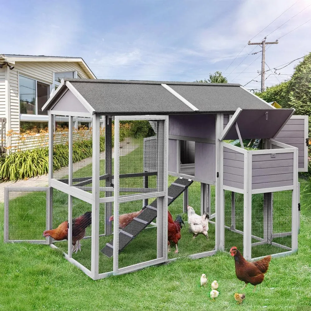 aivituvin Large Chicken House for 6-10 Chickens AIR48