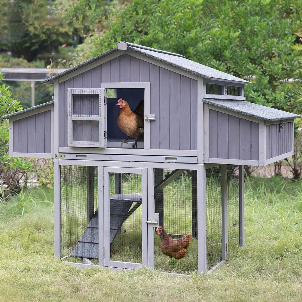 aivituvin 54.6 in. H x69.8 in.W x 42 in.D Chicken Coop Fir Wood Foldable Chicken Coop for 3-4 Chickens with Fast Assembly Design AIR66