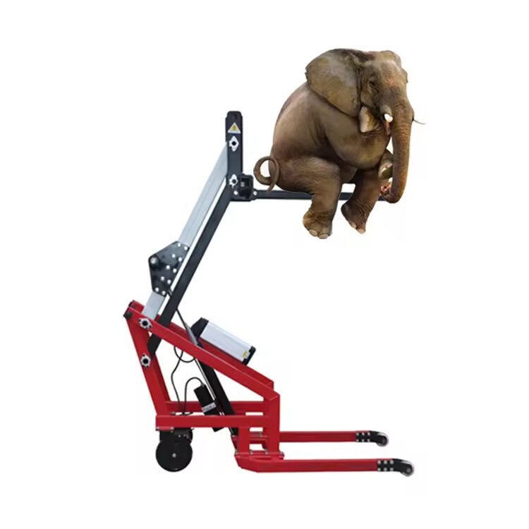 🔥Clearance price✨Portable electric hydraulic forklift
