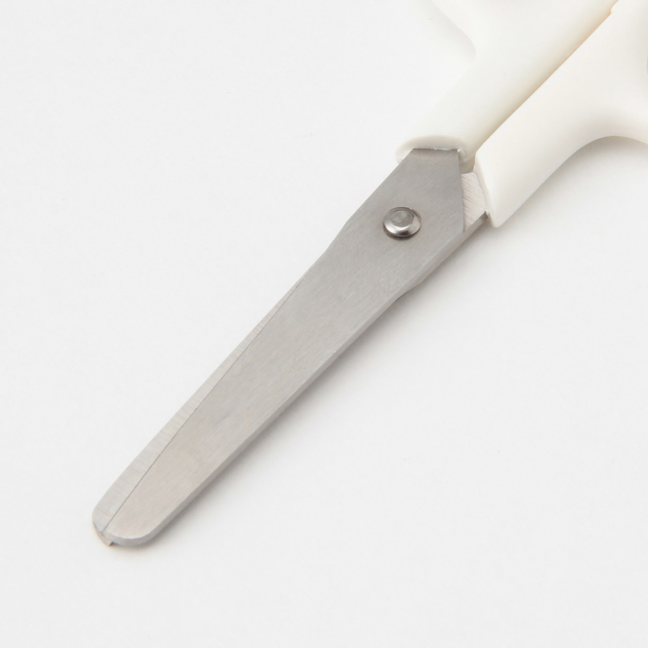Stainless Scissors