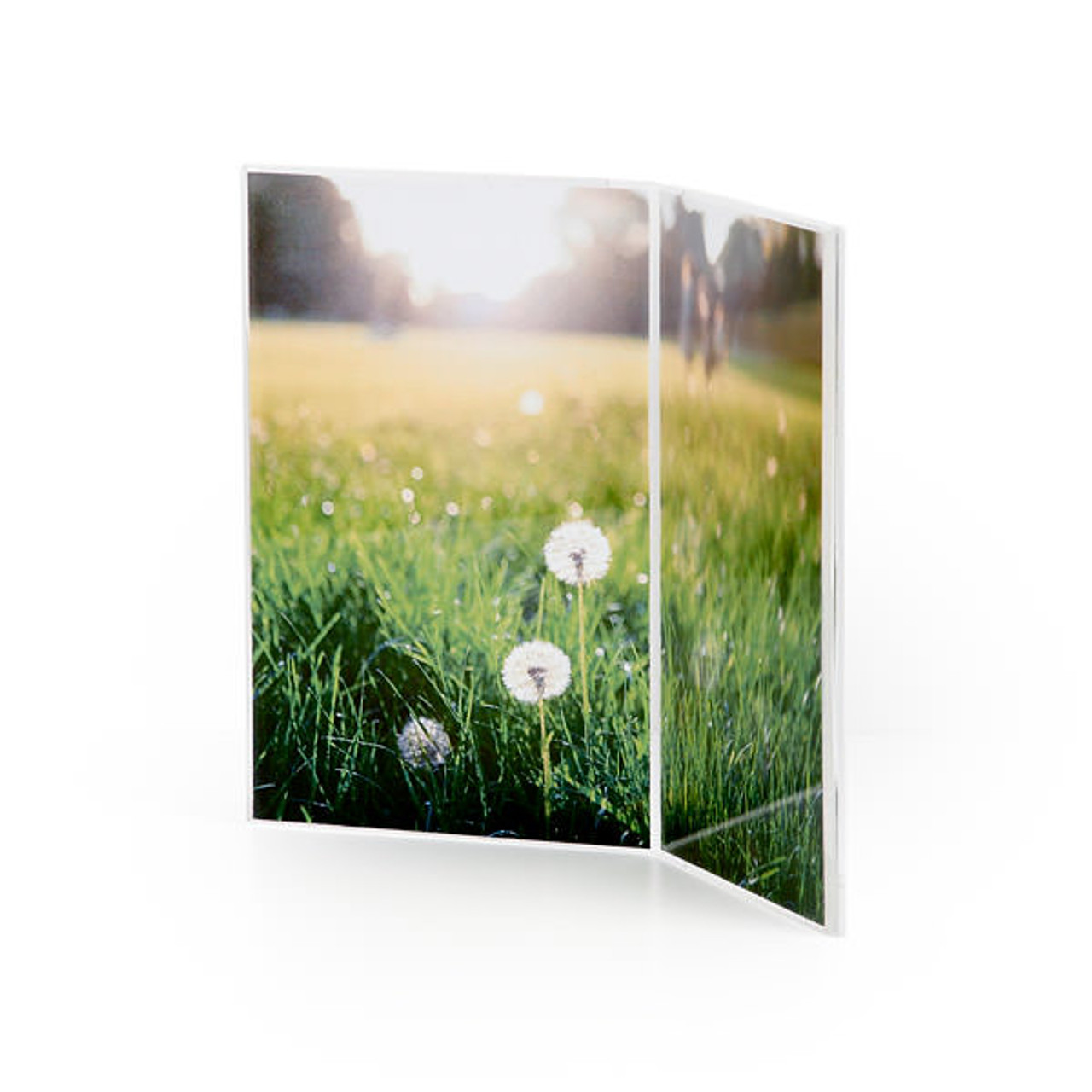 Acrylic twin frame