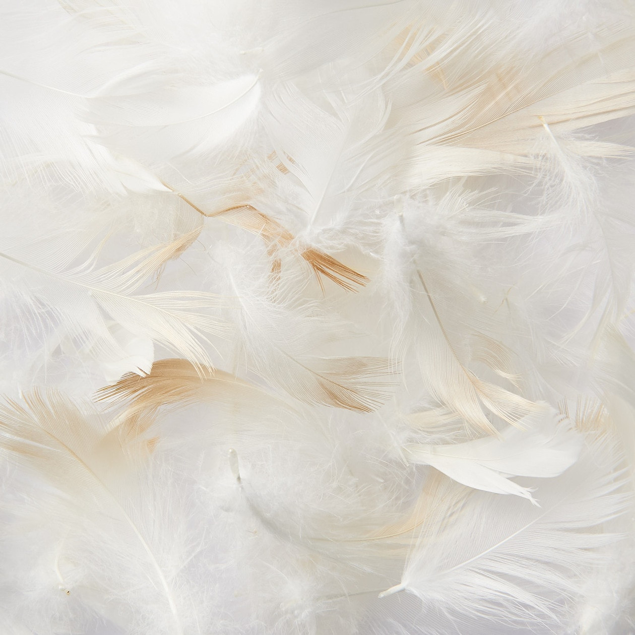 Feather Pillow 43 x 63 cm