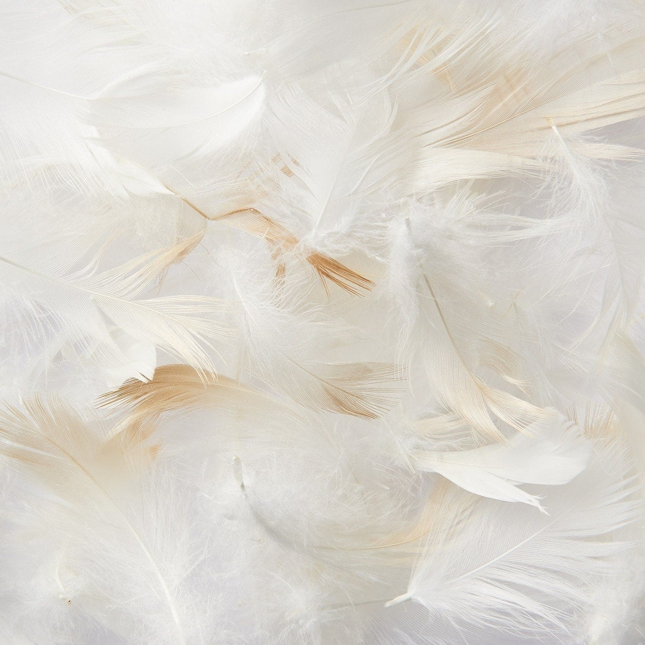 Feather Pillow 50 x 70 cm