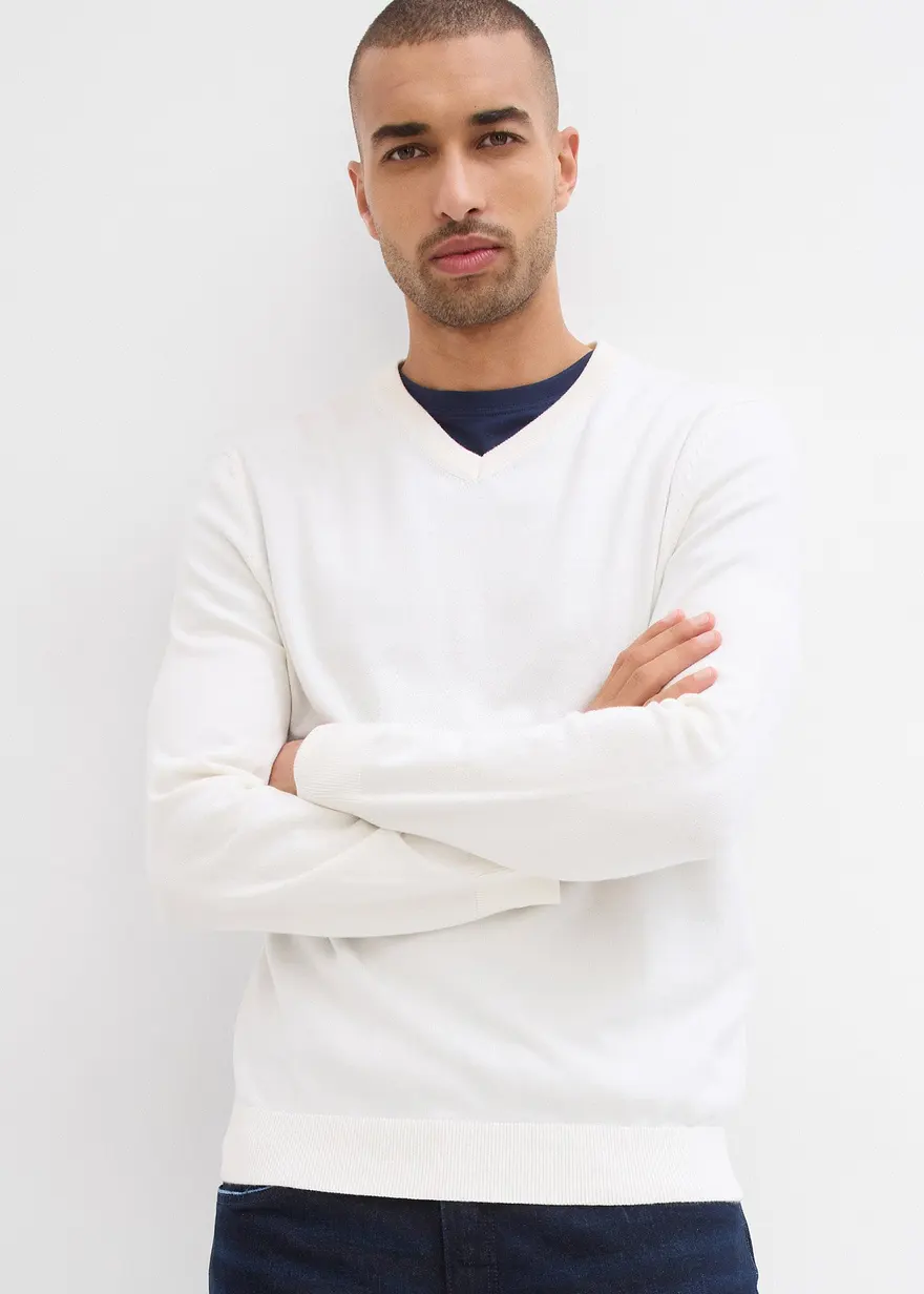 Feinstrickpullover in Regular Fit